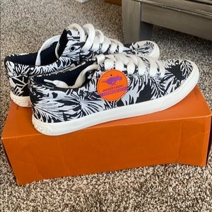 NEW WOMENS ROCKET DOG BLACK CAMPO HEATWAVE SZ 8.5